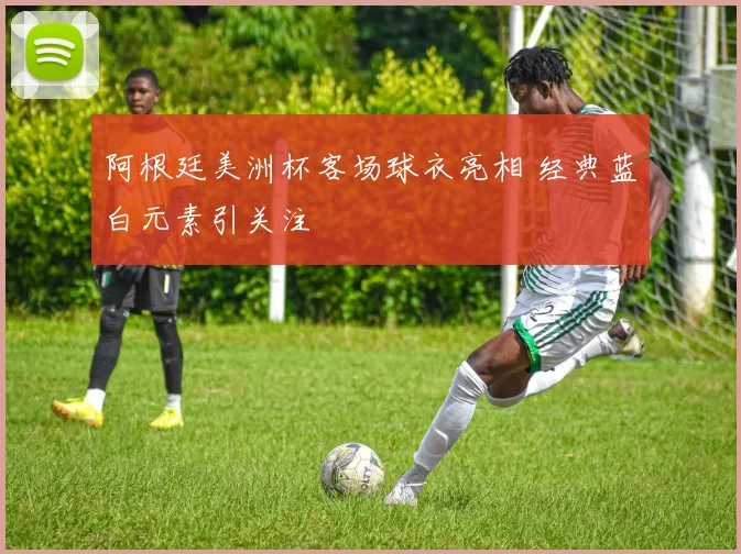 阿根廷美洲杯客场球衣亮相 经典蓝白元素引关注