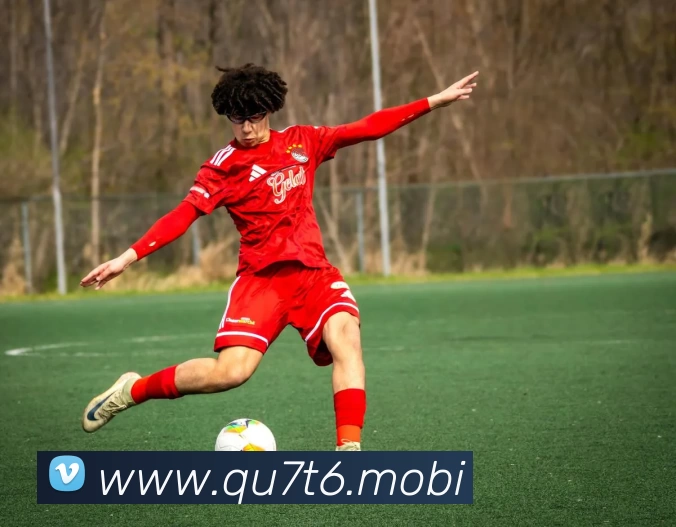 App Interface Preview